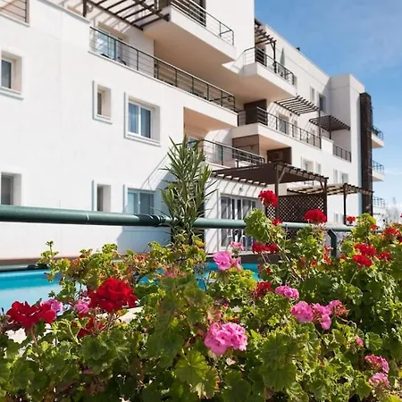 Paradise Front Vokolidha